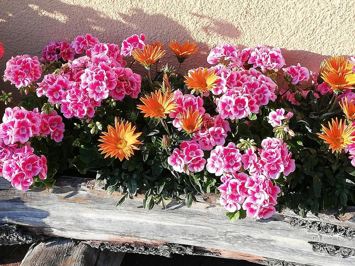 Ferienwohnung Angerlgut Sankt Koloman Bagian luar foto