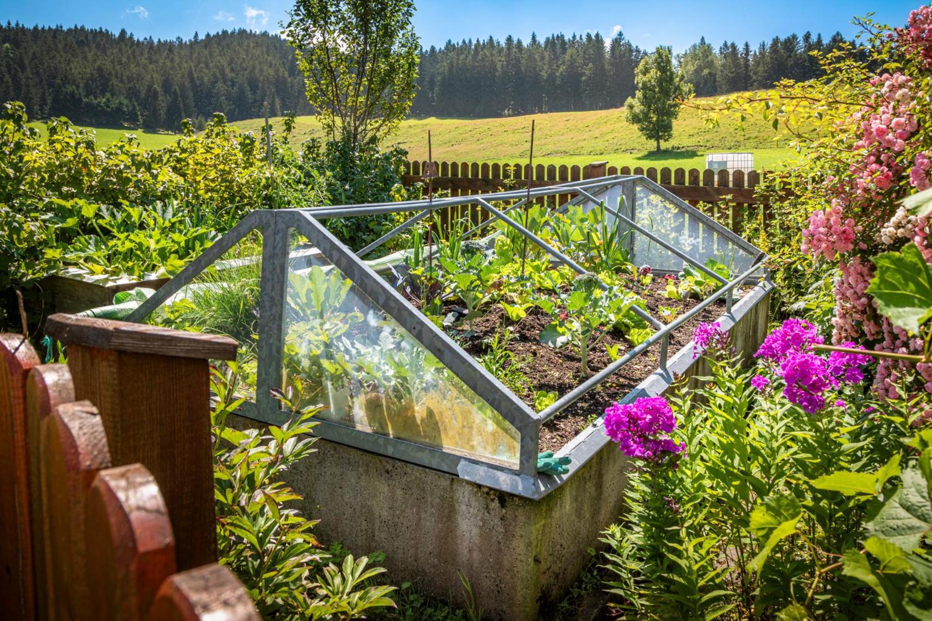 Ferienwohnung Angerlgut Sankt Koloman Bagian luar foto