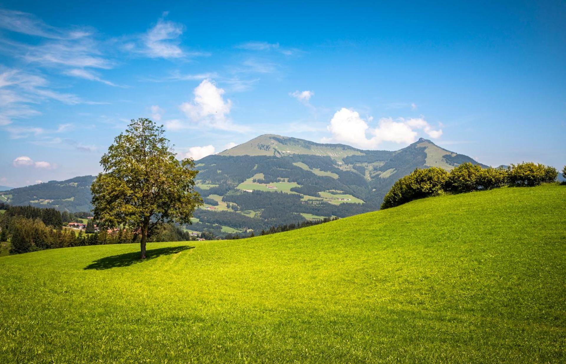 Ferienwohnung Angerlgut Sankt Koloman Bagian luar foto